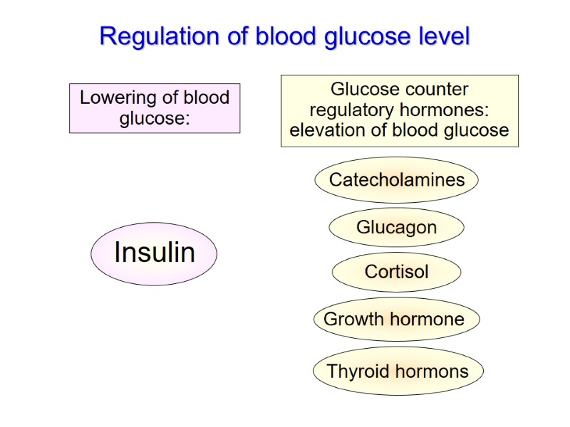 Regulation of blood glucose level Glucose counter regulatory hormones: elevation of blood glucose Lowering